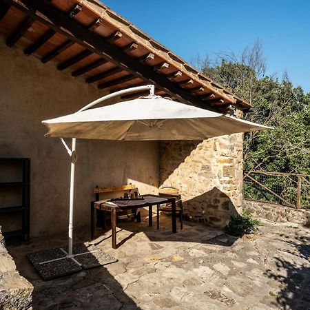 Agriturismo Santa Caterina Castelnuovo di Val di Cecina Bagian luar foto