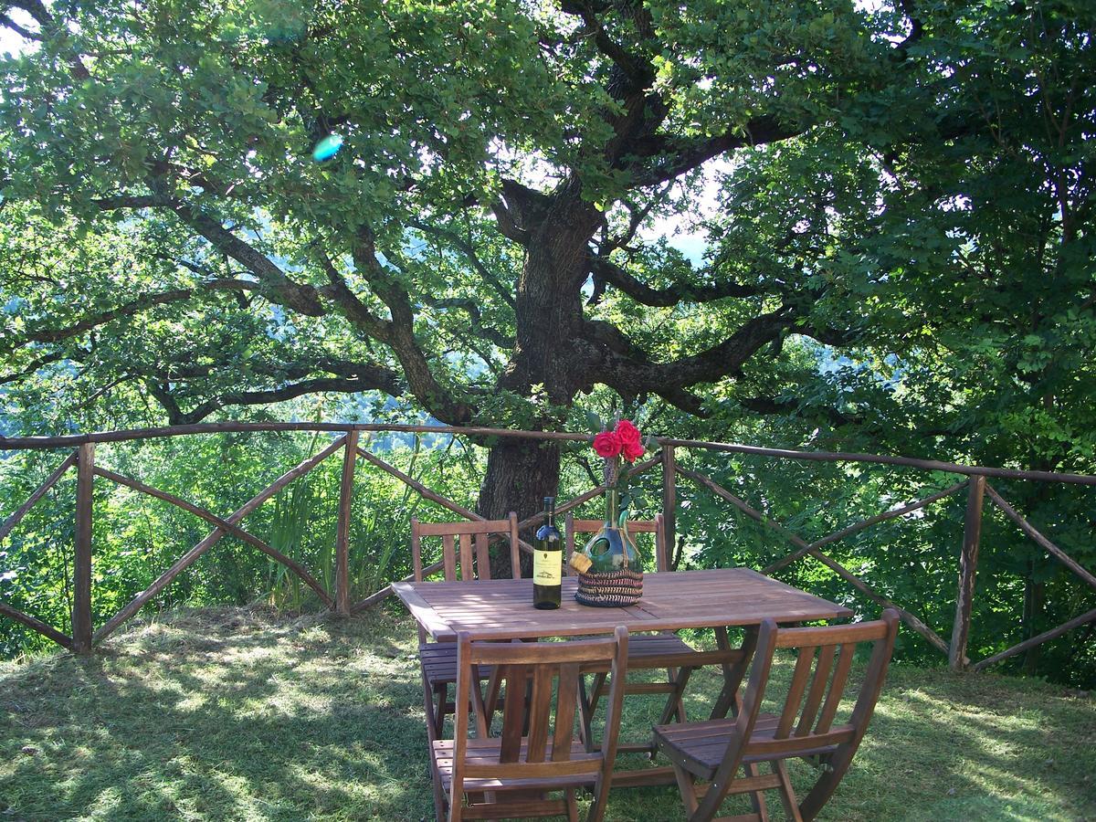 Agriturismo Santa Caterina Castelnuovo di Val di Cecina Bagian luar foto