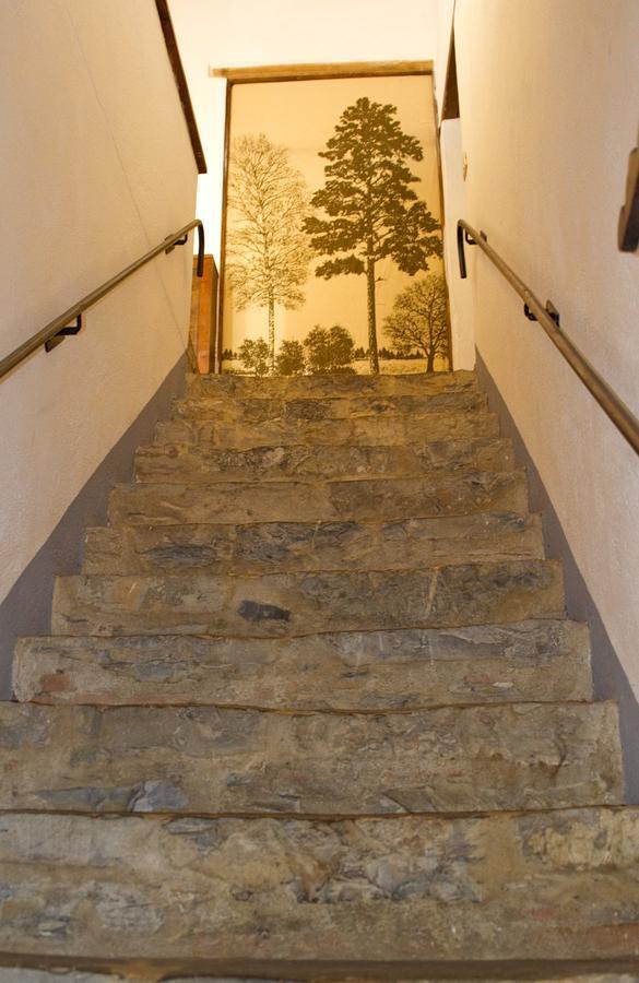 Agriturismo Santa Caterina Castelnuovo di Val di Cecina Ruang foto